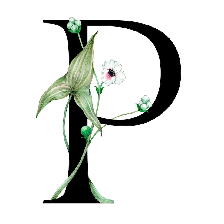 Photo png alphabet p sticker font floral typography