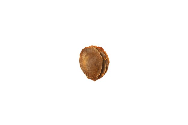 PNG Apricot pit isolated on white background