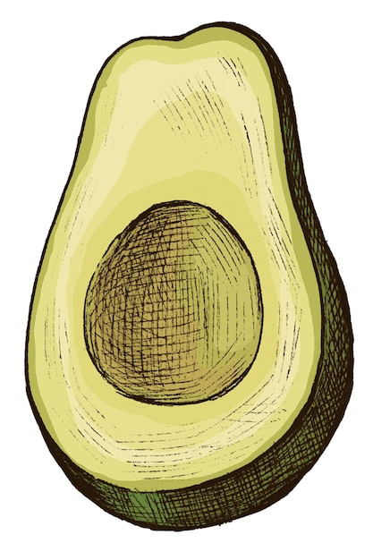 Png avocado illustration collage element transparent background