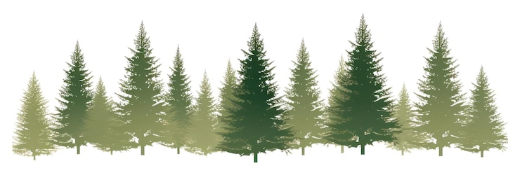Photo png border christmas trees outdoors plant pine