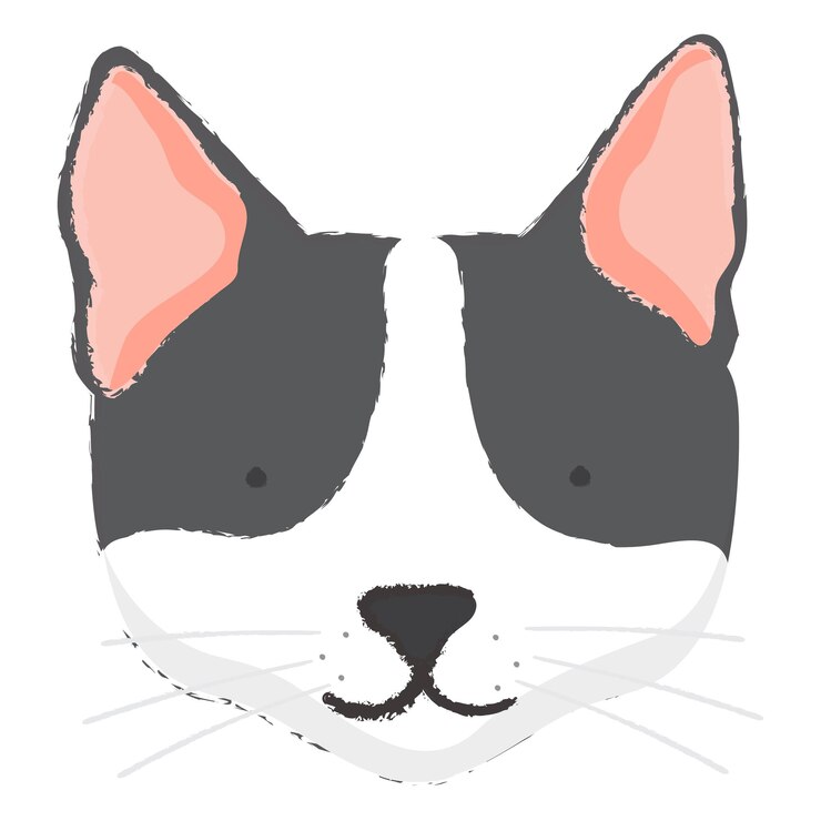 Photo png 可愛い猫の肖像画 手描きのステッカー 透明な背景