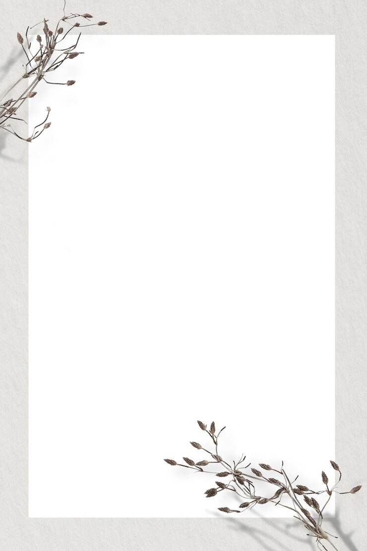 Photo png dry flower twig background