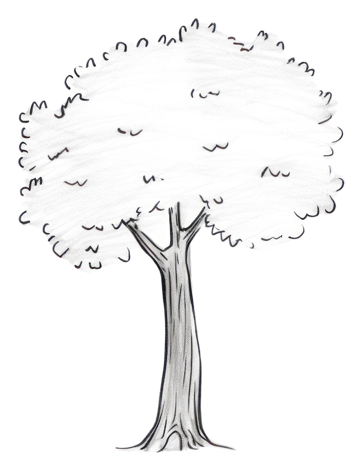 Foto png een boom tekening schets doodle