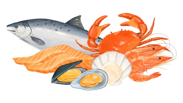 png fresh seafood salmon crab shellfish illustration transparent background