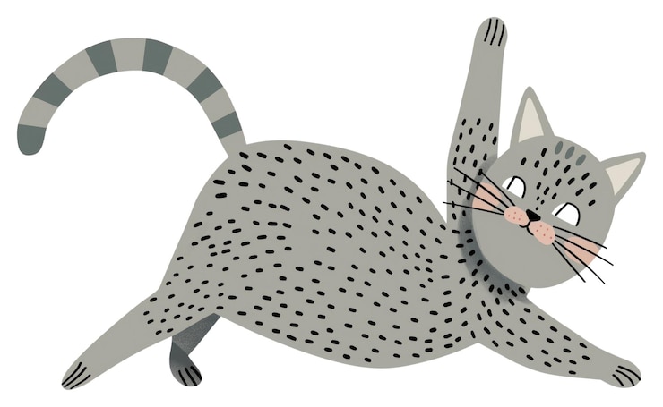 Foto png grijze kitten stretching kat wilde dieren cheetah
