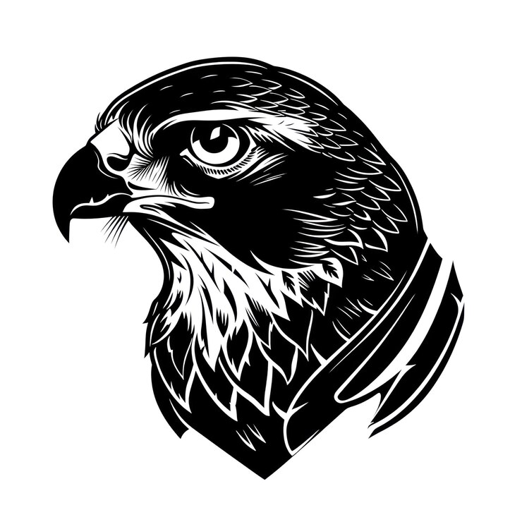 Photo png hawk tattoo flat illustration clothing stencil apparel