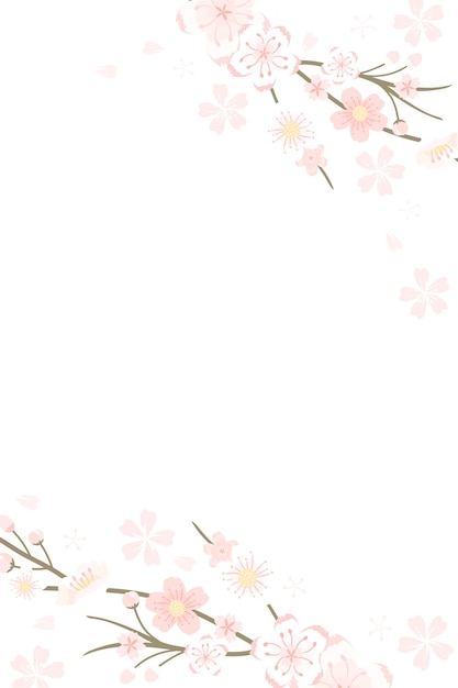 Png Japanese cherry blossom transparent background Hanami festival