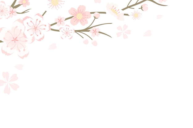 Png Japanse kersenbloesem doorzichtige achtergrond Hanami festival