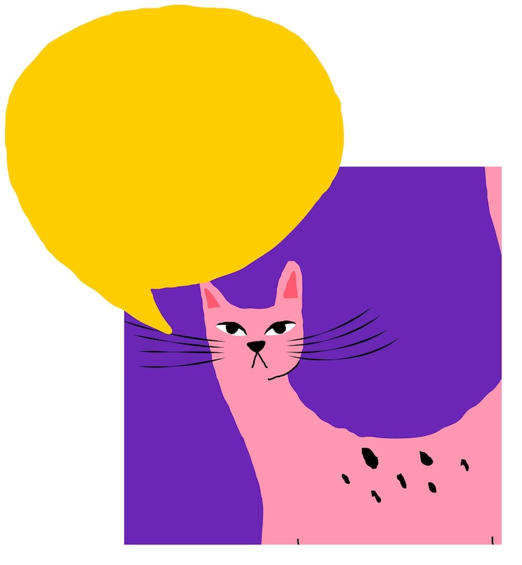 Foto png kat met spraak bubbels illustratie ontwerp