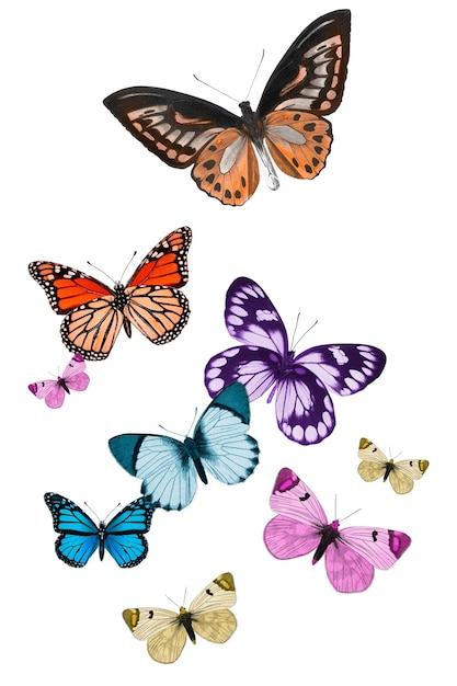 Png kleurrijke vrijheid vlinders sticker insect transparante achtergrond
