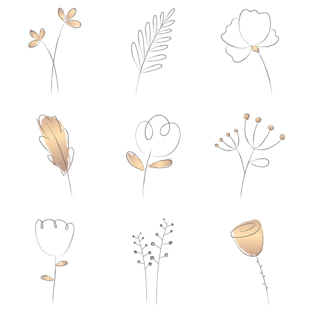 Png lijnkunst bloem en blad esthetiek