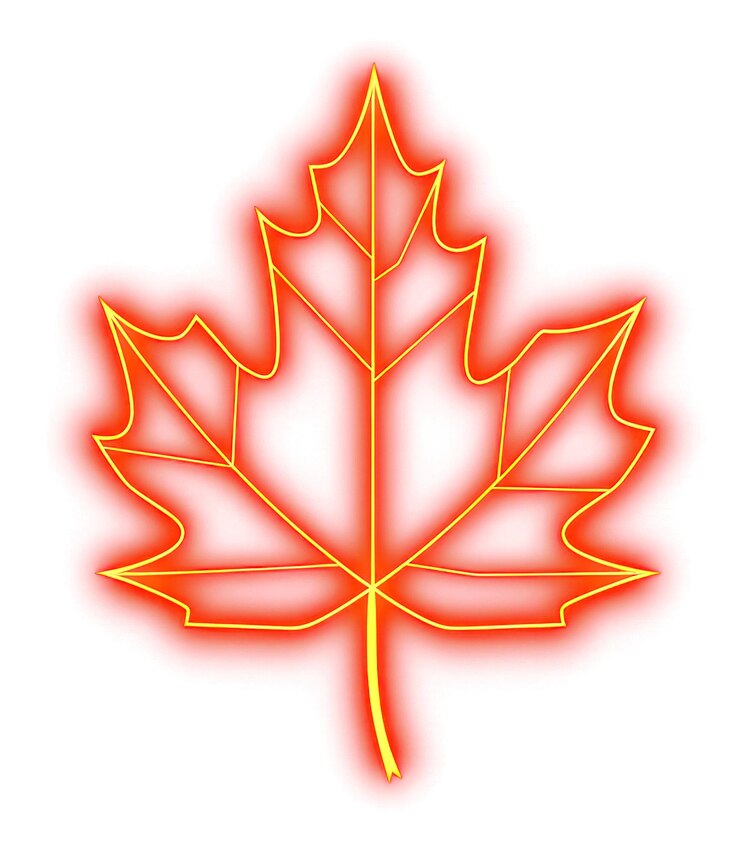 Photo png maple leaf icon outdoors light night