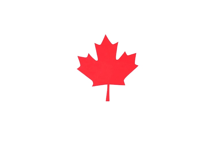 Photo png maple leaf isolated on white background