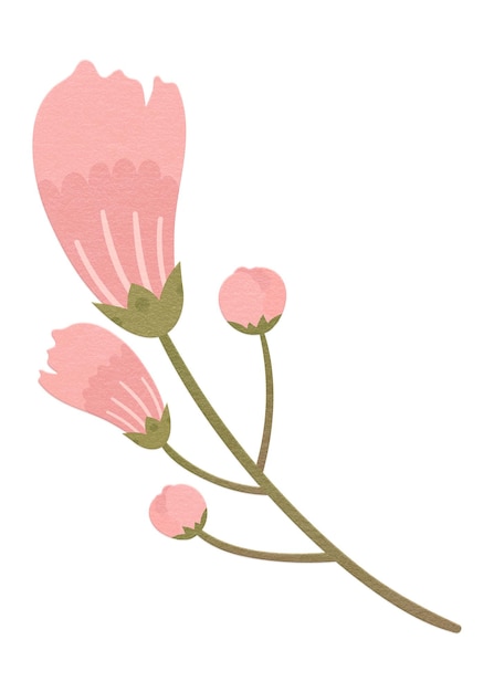 png pink spring flower design element
