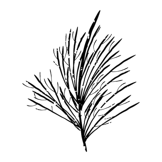 PNG 植物の枝のドードルイラスト 透明な背景