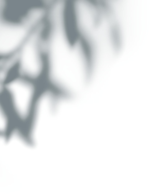 PNG Shadow of leaves transparent background