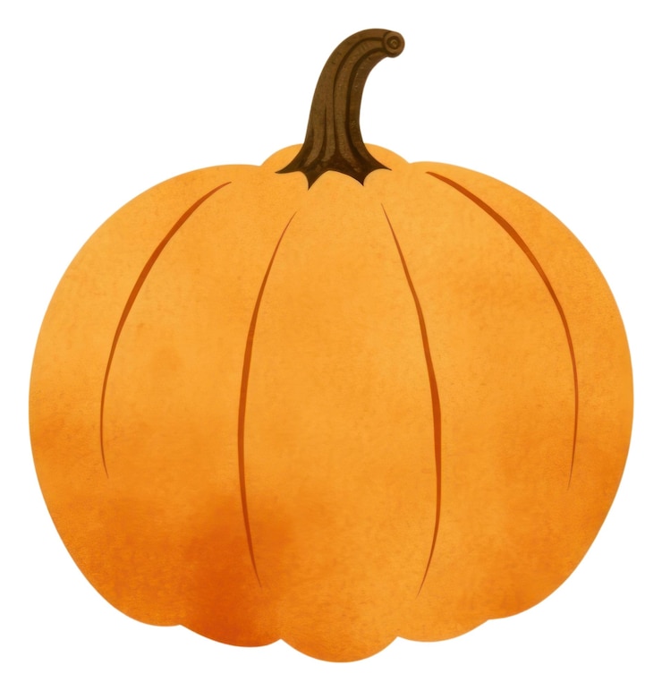 Photo 파푸아뉴기 (png) - 파푸아누기 (pumpkin) 식물성 식품