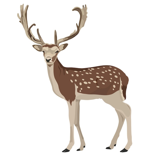 png wild deer illustration wild animal illustration sticker transparent background