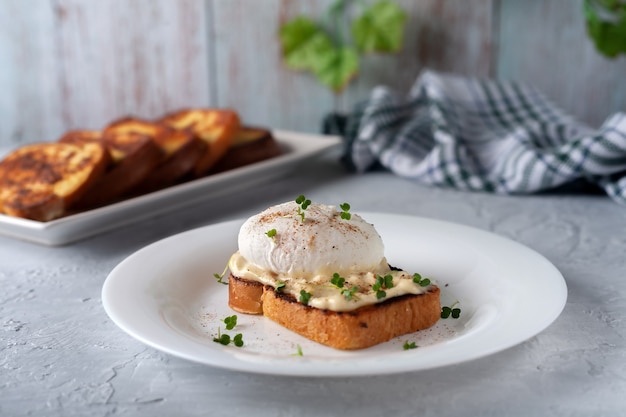 Poached egg with mayonnaise and microgreens in a plate