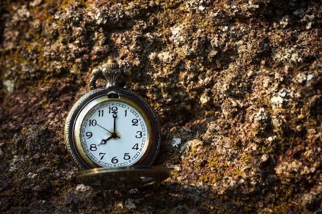 Pocket watch placed on the rock in forest and morning sunlight.