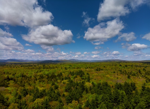 Photo pocono mountains pennsylvania landscape with green meadow and forest