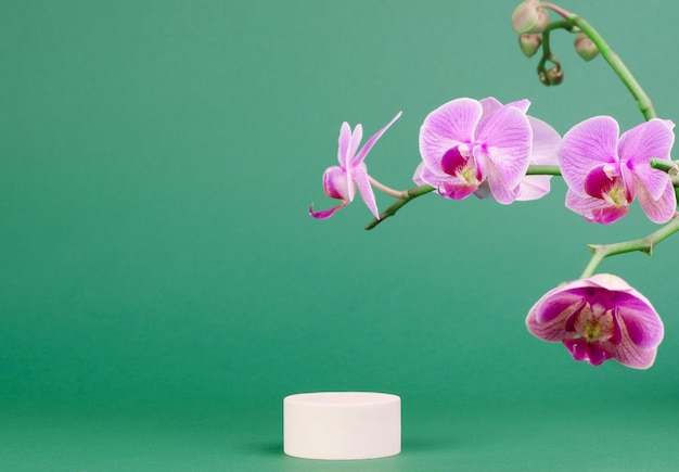 Podium for advertising products on a green background with orchid flowers