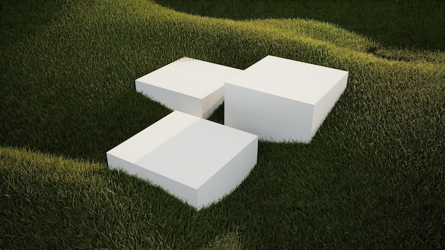 Podium among a field covered with grass under a beautiful sunny sky  3D rendering