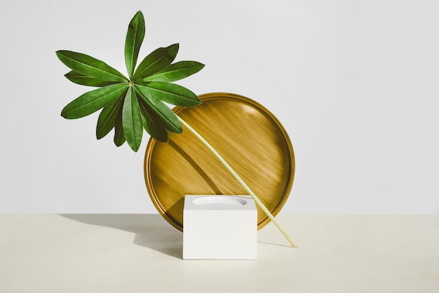 Podium for natural cosmetics products mockup for showcase  tropical leaf