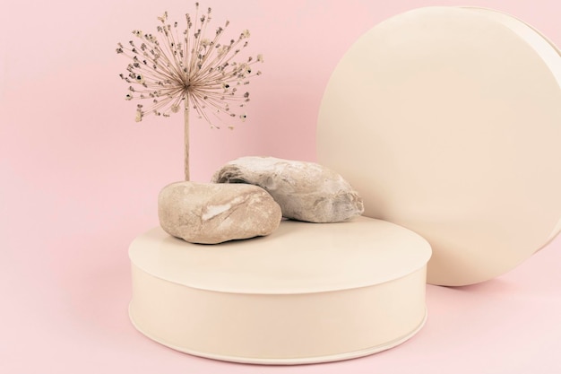 Podium natural stones and dried flower on pink background Product advertisement