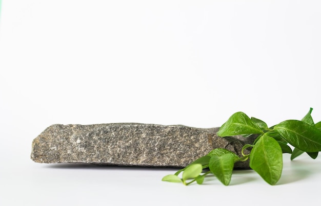 Podium op een witte achtergrond met bladeren Natuurlijke steenscène van presentatie van cosmetische producten