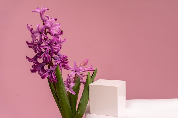 Podium for product photo background with jacinth geometric objects and flowers