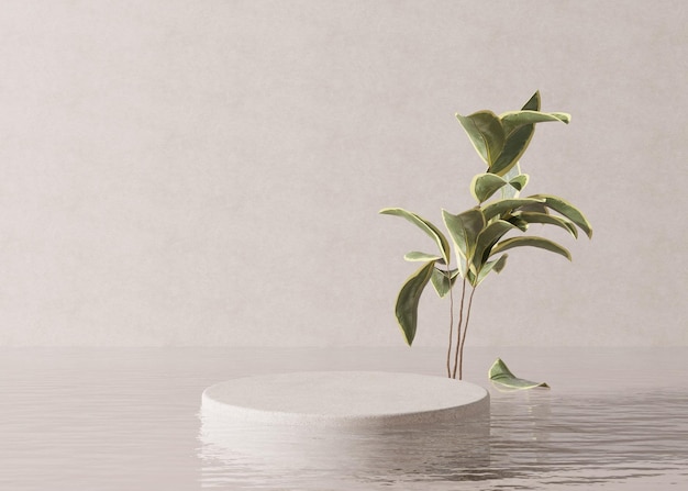 Podium standing in water with plant on the cream background Beautiful mock up for product cosmetic presentation Pedestal or platform for beauty products Empty scene stage 3D rendering