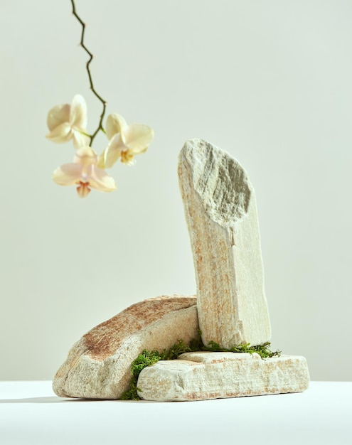 Podium stone pedestal with orchid blossom flower for spa cosmetics presentation placement for beauty