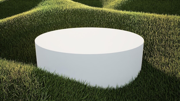 Podium tussen een veld bedekt met gras onder een mooie zonnige hemel 3D-rendering