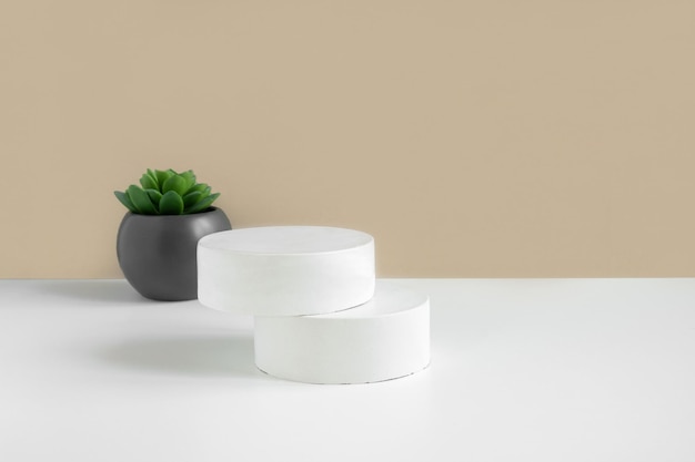 Podium voor cosmetische productpresentatie Abstracte minimale geometrische vorm Cilinder stenen bol twee vormen schaduw Scène om producten te tonen Showcase display Trendy zonlicht Vooraanzicht Plant