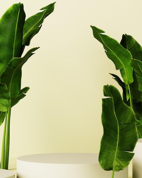 Podium with banana leaves and blank space.