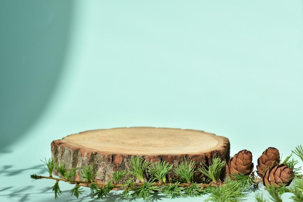 Podium with a larch branch and a cone on a green background