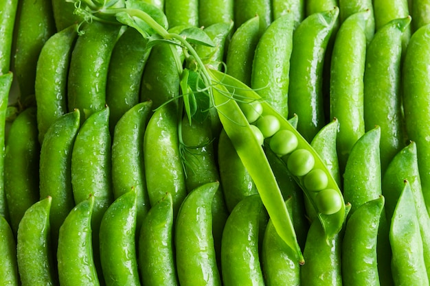 Pods of green peas close up