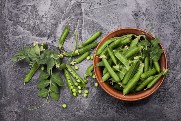 Pods of green peas with leaves in bowl on grey loft background