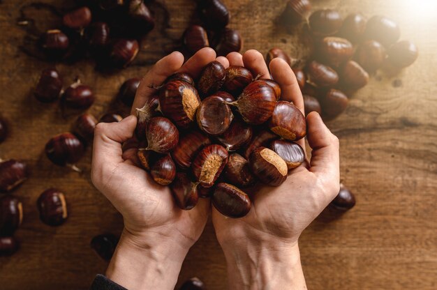 Point of view from the top with woman both hands holding chestnut.