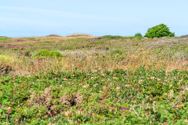 Pointe du Raz in Bretagne