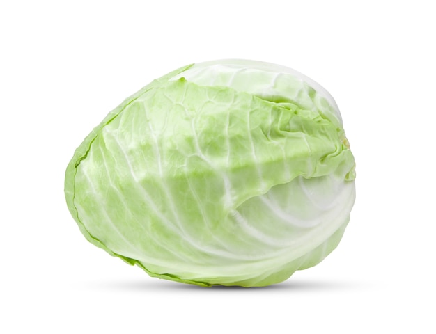 Pointed cabbage isolated