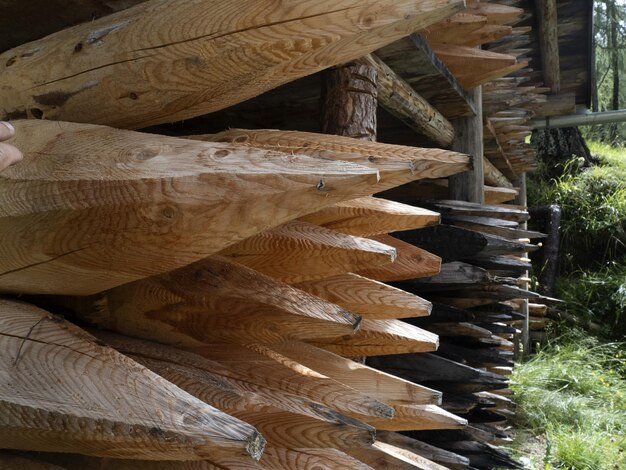 Остроконечные деревянные бревна
