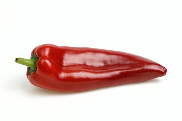 Pointy red pepper on white background