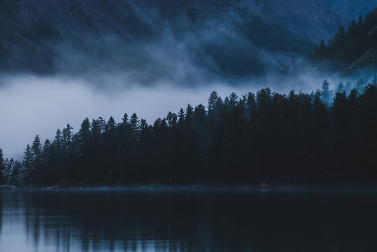 Photo pointy tree tops on hillside along mountain lake in dense fog