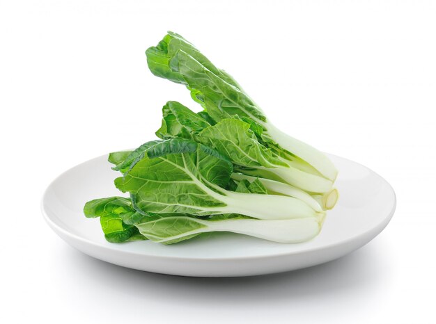 Pok Choi in plate isolated