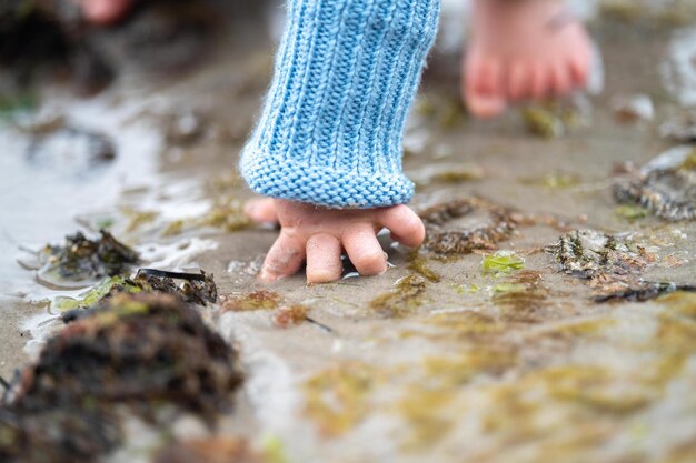 Photo poking an anemones on the beach in the sand in tasmania australia sticking your finger in anemone