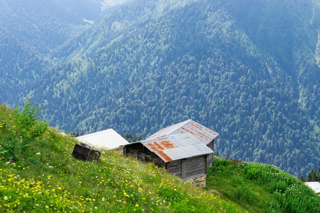 Pokut Plateau Rize Camlihemsin 터키