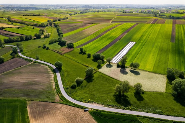 春の空中ドローン ビューでポーランド農業田園風景