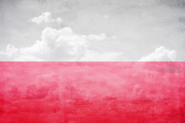 Poland flag vintage sky illustration